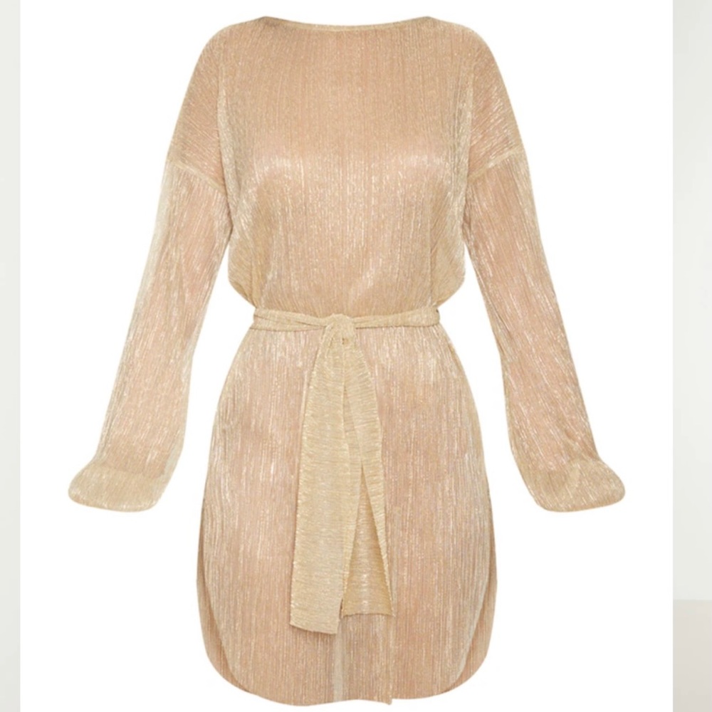 PLT Gold Plisse Balloon Sleeve Sheer Shift Dress
